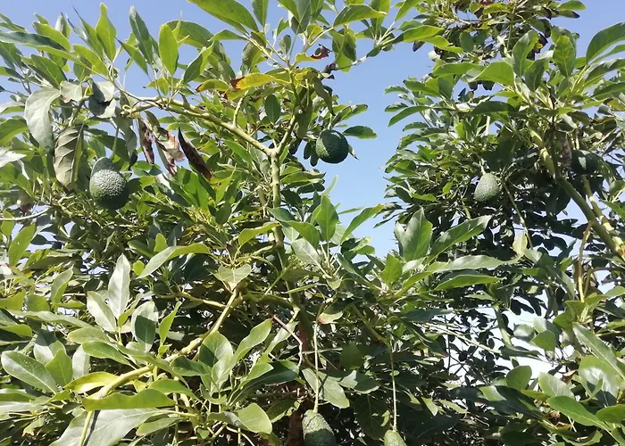 Casa vacanze Tapias, Glorieta *