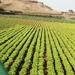 Tapias, Glorieta *
