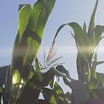 Tapias, Glorieta פוארטו דה לה קרוז