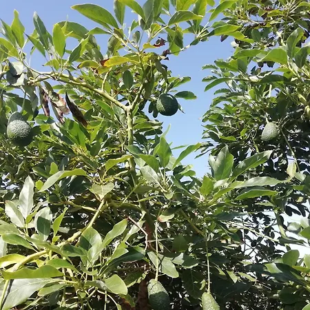 Feriehus Tapias, Glorieta *